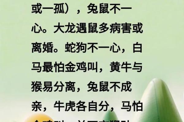 属猪夫人命格分析：哪些命理最为优越？