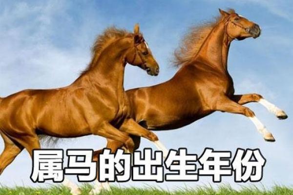 2014年出生的生肖属马，性格与命运深度解析！