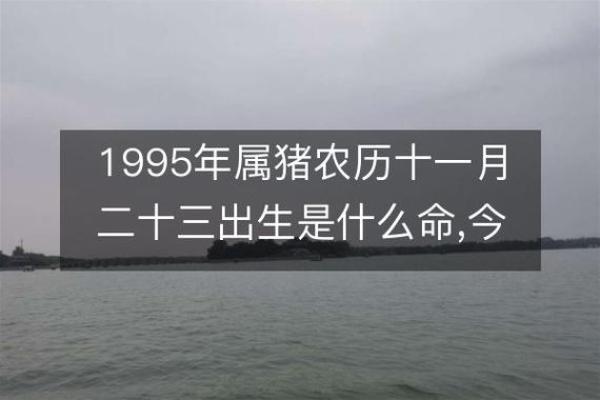属猪夫人命格分析：哪些命理最为优越？