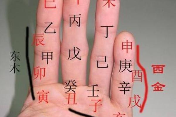 剑锋金命的1月生辰分析及其命理特征解读