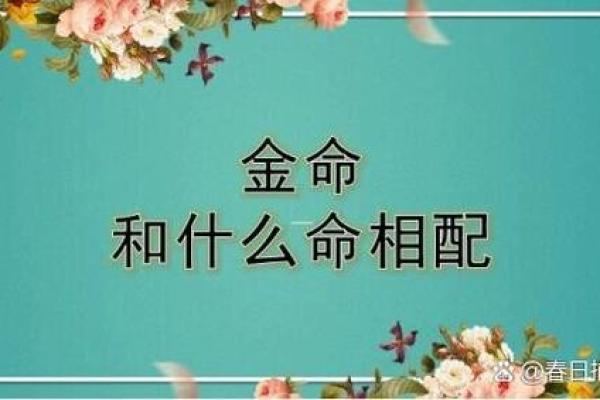 金命人适合与哪些命人生财运，探秘和谐财富之道