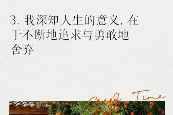 从成语看命运走向,探寻人生的深刻哲理 从成语看命运走向,探寻人生的深刻哲理