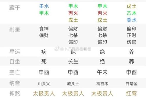 己亥日柱女命的命格解析与生活智慧