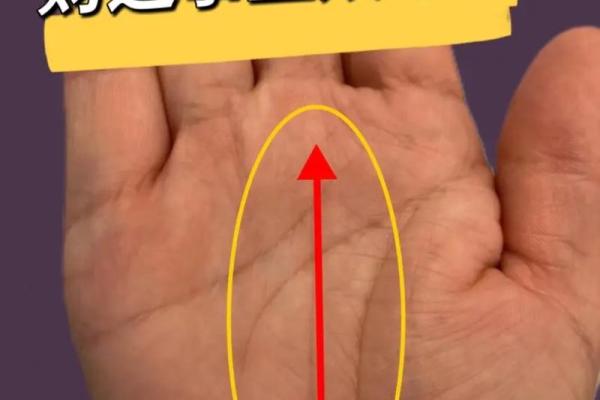 探究“常常缺钱花”的命理背后，财运提升的秘密！