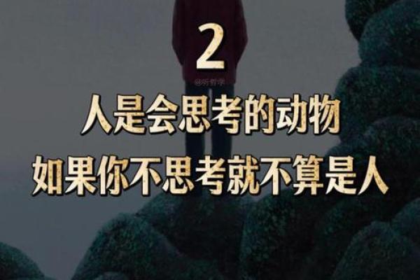 生活的奇妙之处：你有什么便拥有什么的哲学思考