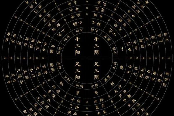 20051119命理解析：探究出生于这一天的独特命运与人生轨迹