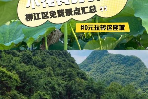 20051119命理解析:探究出生于这一天的独特命运与人生轨迹 20051119命理解析:探究出生于这一天的独特命运与人生轨迹