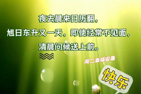 探秘2019年属鸡人的命运与性格特点，助你扬帆人生旅程！