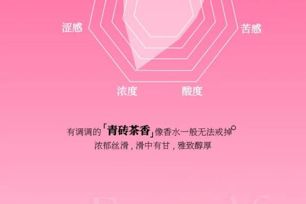 火命与土命的相生之道：让生活焕发新光彩！