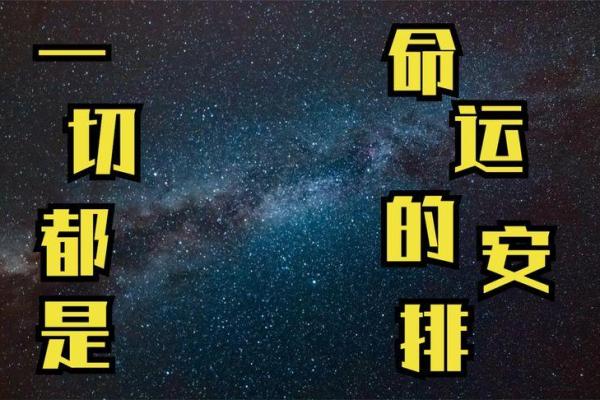 2022虎娃的命运解析:如何把握人生机遇与挑战 2022虎娃的命运解析:如何把握人生机遇与挑战
