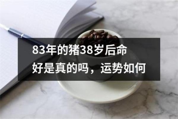 2019年属猪命运解析：如何抓住机遇迎接辉煌人生！