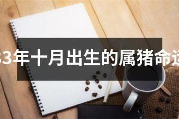 2019年属猪命运解析：如何抓住机遇迎接辉煌人生！