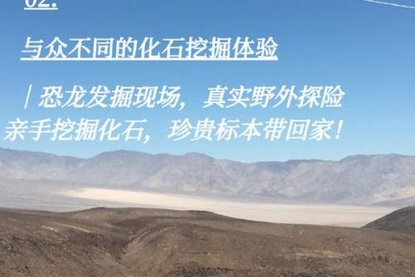 探秘19900822命格：你的命运由此而起的秘密！