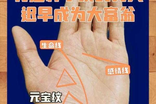 手相揭秘：从掌纹看你的命运走向