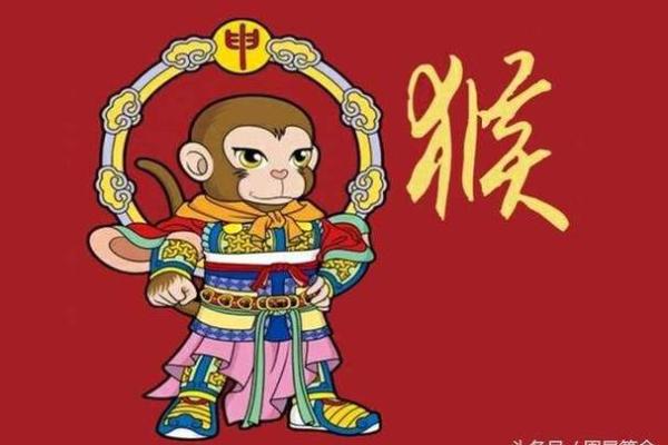 2016年猴年出生的人命运解析：性格、运势与生活中的智慧