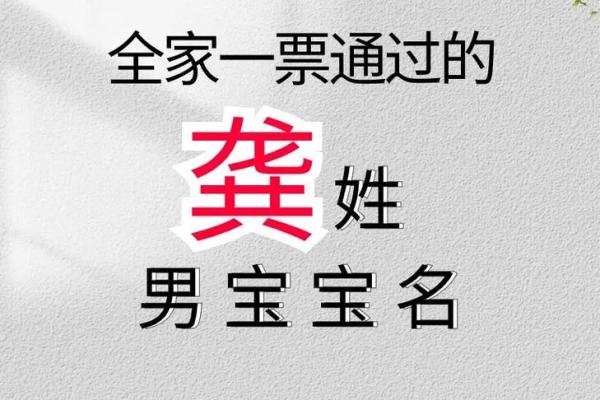 2023年出生宝宝命理与取名的奥秘探讨