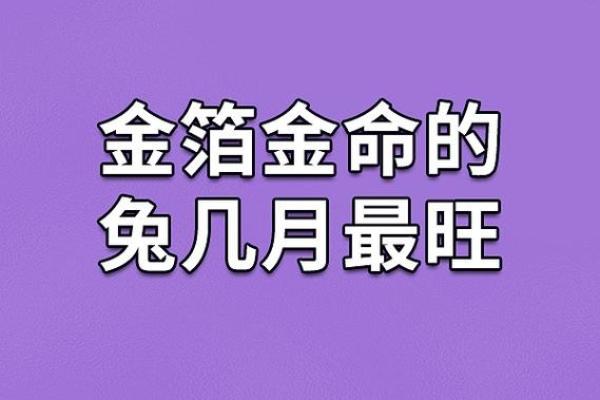 早晨出生的属兔人：幸福人生的好运命运分析