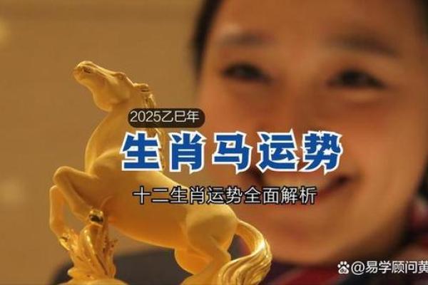 2006年属狗人的命运与运势解析：把握机遇，勇往直前！