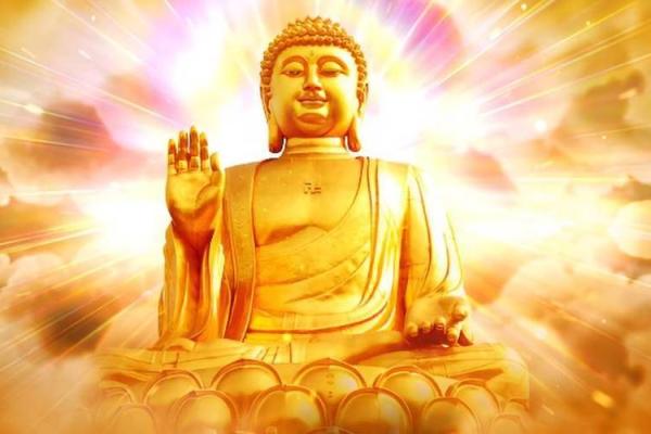 2020年牛年如何理解命运与人生的相互关系
