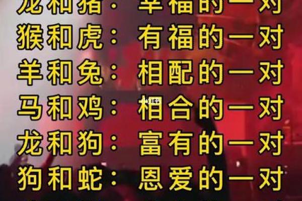 2025年的属相与命理解析：揭示你的人生运势与性格特征！