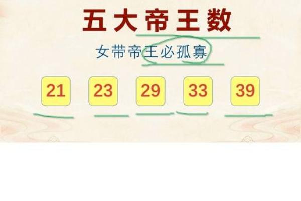 探索20041125这一命理数字背后的深意与启示