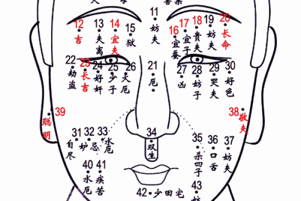 19901224出生的人生运势解析:揭示命运背后的秘密与机会 19901224出生的人生运势解析:揭示命运背后的秘密与机会