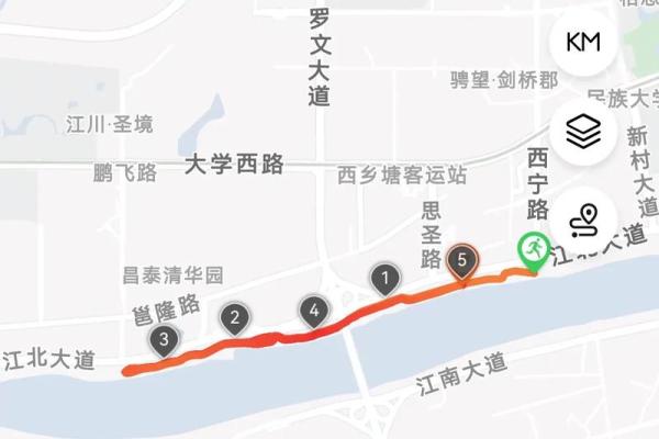 93年出生属鸡的命运分析：机遇与挑战并存的生活轨迹