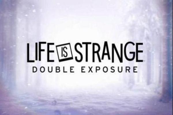 属狗1981年出生的人命运解析与人生建议