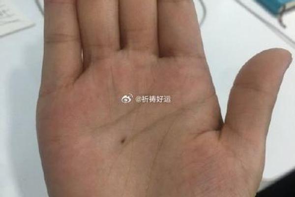 20121125：揭开命运密码，探索生命的奇妙旅程