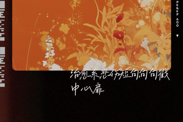 生命的尽头：命没了，还有什么理由继续前行？