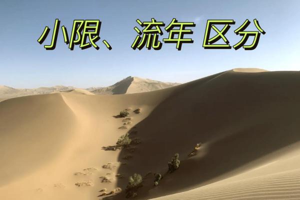 2022年属宝宝的命运解析:揭示新生代的命理奥秘与未来展望 2022年属宝宝的命运解析:揭示新生代的命理奥秘与未来展望