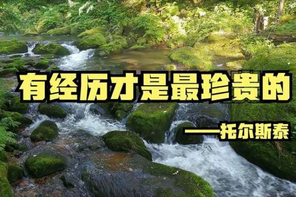 深入解读小财命：掌握隐藏的财富能力与人生机遇