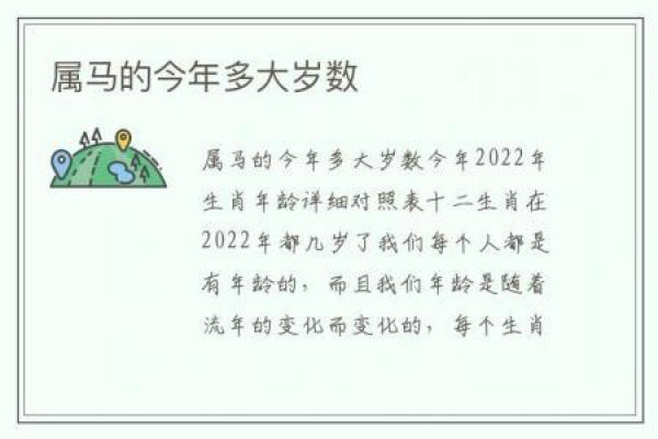 属马1954命运解析：追求自由与激情的人生之旅