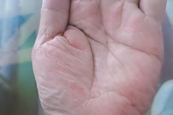 右手断掌男人的命运解析：命理中的神秘符号