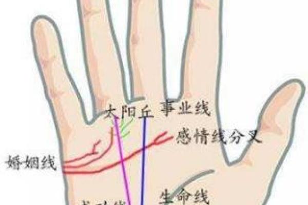命运线与人生的启示：诠释“命”与“线”的深刻联系