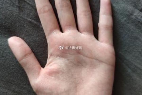 19920913出生的人生密码与命运解析