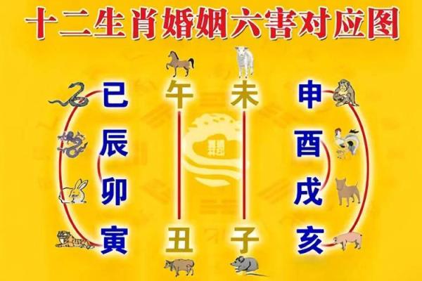 夫妻同为土命，诞生何种命理宝宝？
