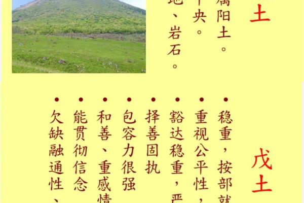 夫妻同为土命，诞生何种命理宝宝？