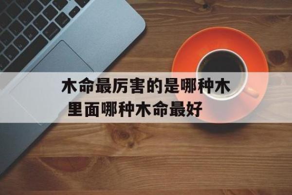 木命解析：木命的含义与生活智慧