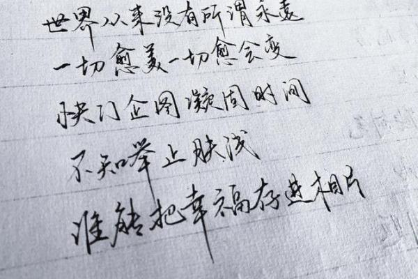 绳索悬命：探寻人生的悬置与选择