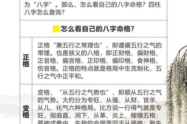 探索八字将军之命：命理学中的力量与智慧
