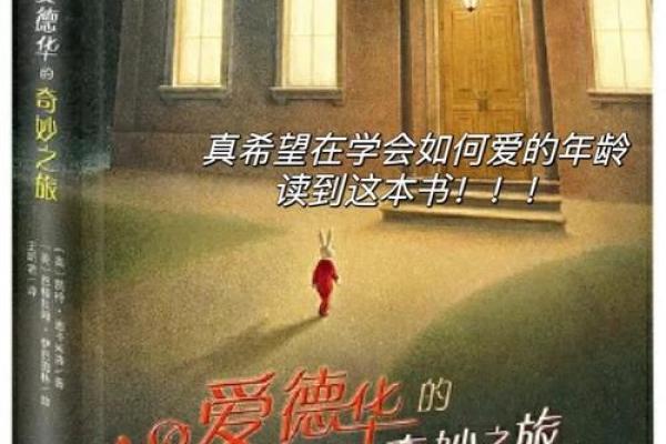 19861117出生的命运解析：探索人生的奇妙之旅
