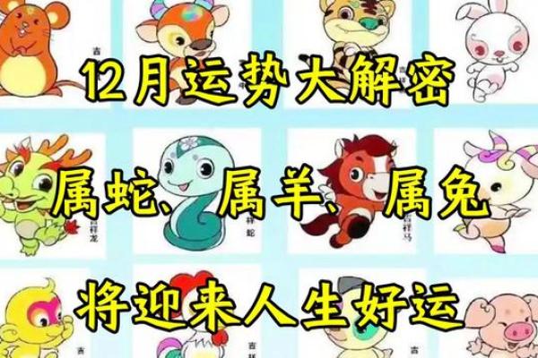 属蛇1991年的命运与性格解析：智慧与柔韧并存的人生旅程