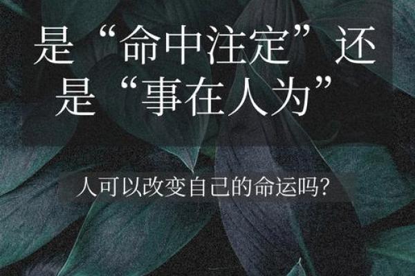 俯瞩天下，命运掌握在我们手中