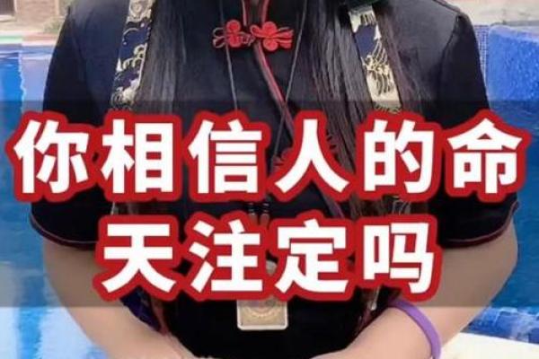 俯瞩天下，命运掌握在我们手中