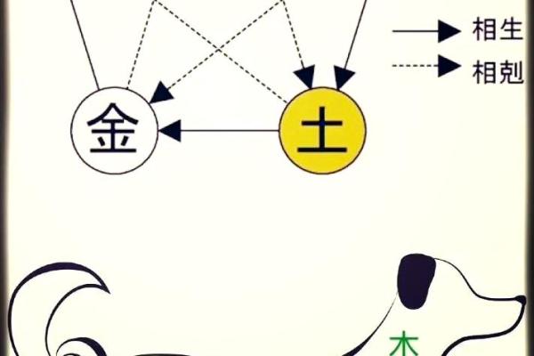 1987年出生的你，五行命理揭秘与性格分析