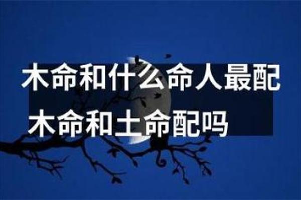 土命女子与哪种命男子最合适的搭配分析