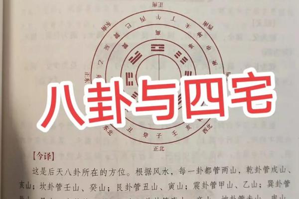 2013年出生宝宝的命理揭秘：如何理解和提升他们的运势？