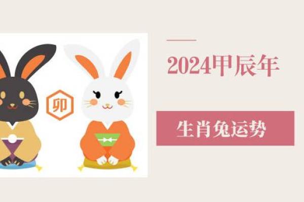 2023年生肖兔：探秘兔年命理与运势，展望未来生活的无限可能！