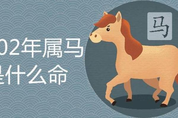 探寻1966年出生者的命理与人生轨迹：揭秘属马之人命运的多面性